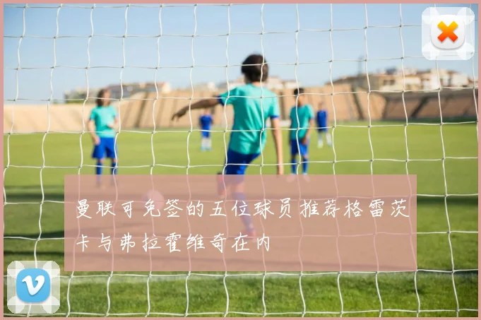 曼联可免签的五位球员推荐格雷茨卡与弗拉霍维奇在内